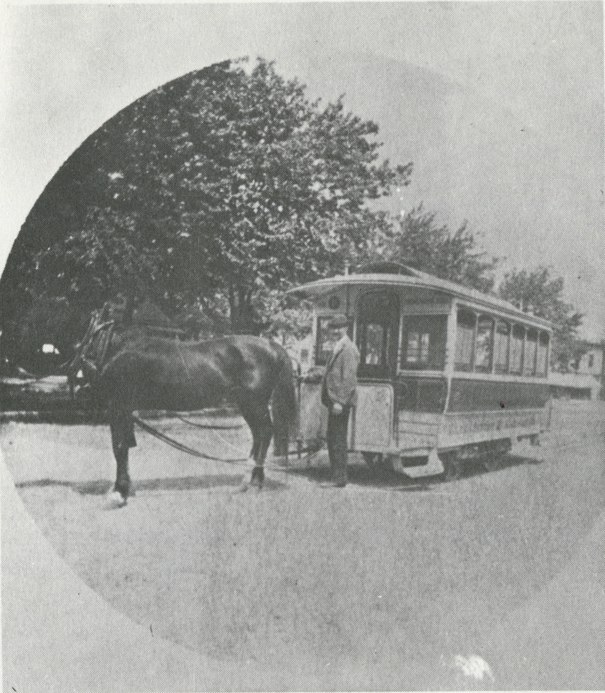 A Berea Horsecar Line streetcar, drawn by one horse, circa 1890